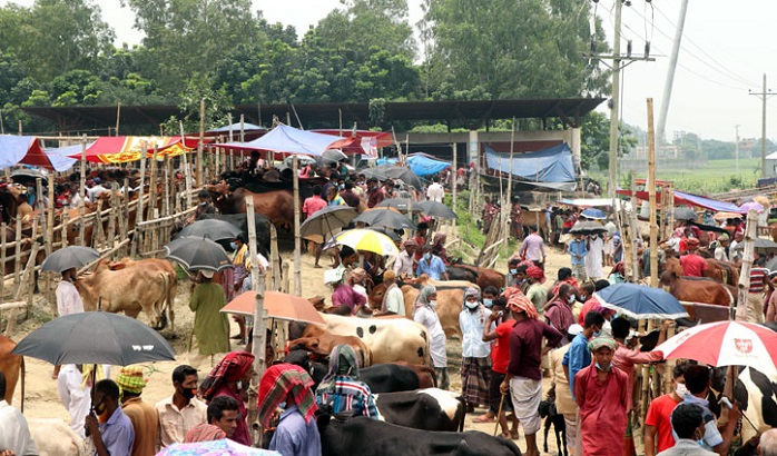 কোরবানির পশুর হাট -এ স্বাস্থ্যবিধি উপেক্ষিত