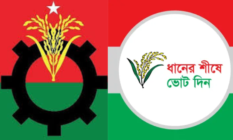 বিএনপি যেভাবে সংসদ নির্বাচনের জন্য প্রস্তুতি নিচ্ছে বিএনপি