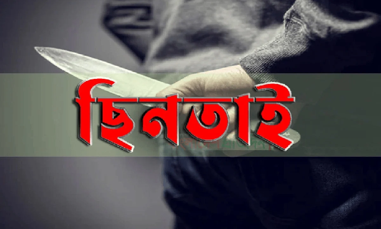 গুলশানে দুজনকে কুপিয়ে দেড় কোটি টাকা ছিনতাই দেড় কোটি টাকা ছিনতাই